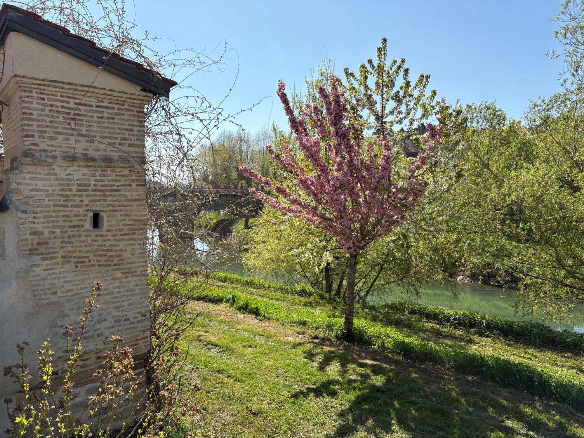 Doubs séjour Fée verte Verdun-sur-le-Doubs Extérieur photo
